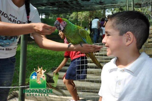 exhibiciones de loritos